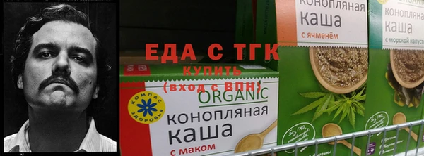 скорость Козловка