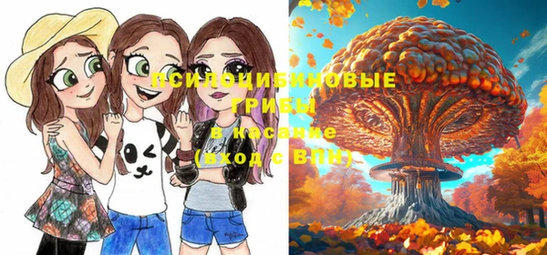 jwh Козельск