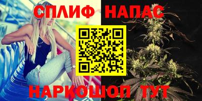 мдпв Моздок
