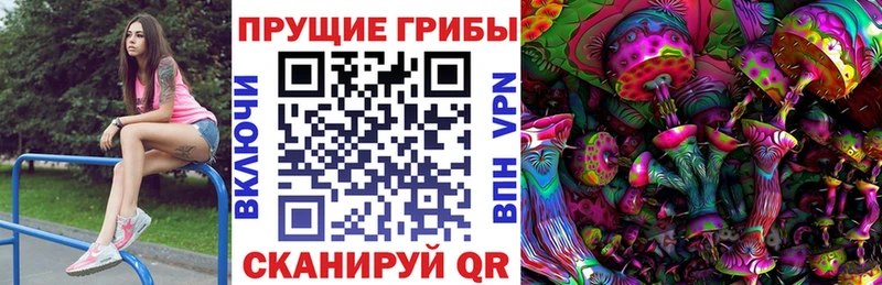 купить  цена  это формула  Псилоцибиновые грибы Psilocybe  Пермь 