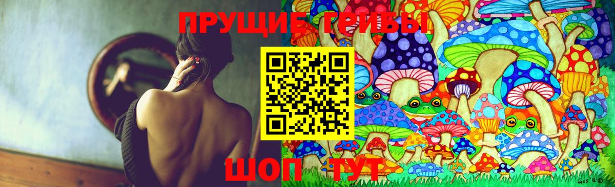 Псилоцибиновые грибы прущие грибы  Вход с VPN  Псилоцибиновые грибы Psilocybine cubensis  Пермь 